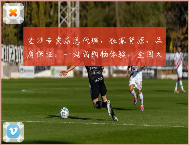 金沙专卖店总代理，独家货源，品质保证，一站式购物体验，全国火爆热销中，不容错过