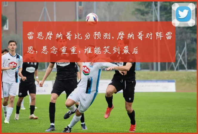 雷恩摩纳哥比分预测,摩纳哥对阵雷恩,悬念重重,谁能笑到最后